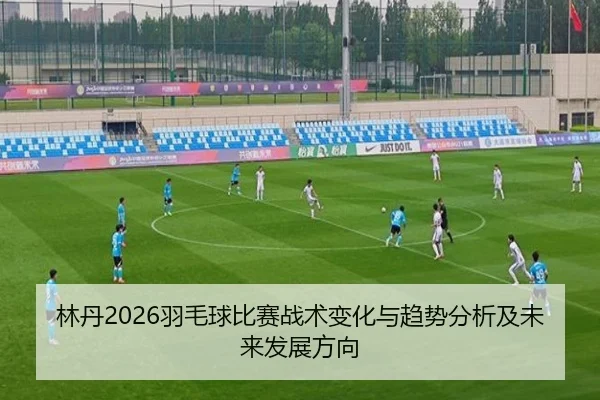 林丹2026羽毛球比赛战术变化与趋势分析及未来发展方向